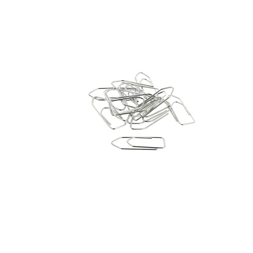 Galvanized paper clips 